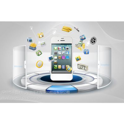 汕頭網站建設與設計專家 打造誠信通旺鋪，賦能企業數字化發展