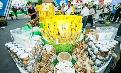 對接長三角市場！阜陽組團參加上海農交會，食用油產品受關注